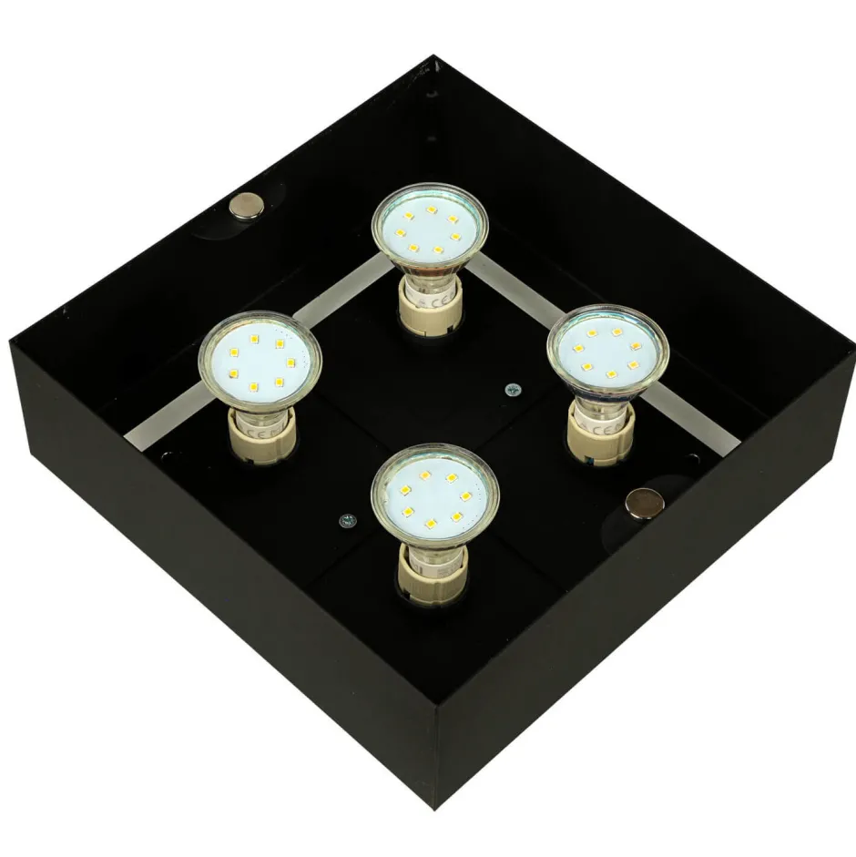 Sollux Deckenleuchte HYDRA in Schwarz 4-flmg< Deckenleuchten|Flurlampen