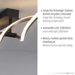 Paul Neuhaus Dimmbare LED Deckenlampe Schwarz Messing 106 cm 3000 K< Deckenleuchten|Flurlampen