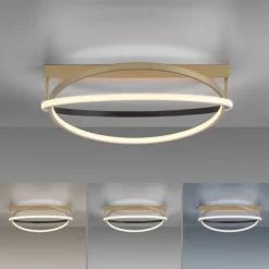 Paul Neuhaus Dimmbare LED Deckenleuchte in Messing Schwarz Ø59 cm< Deckenleuchten|Flurlampen