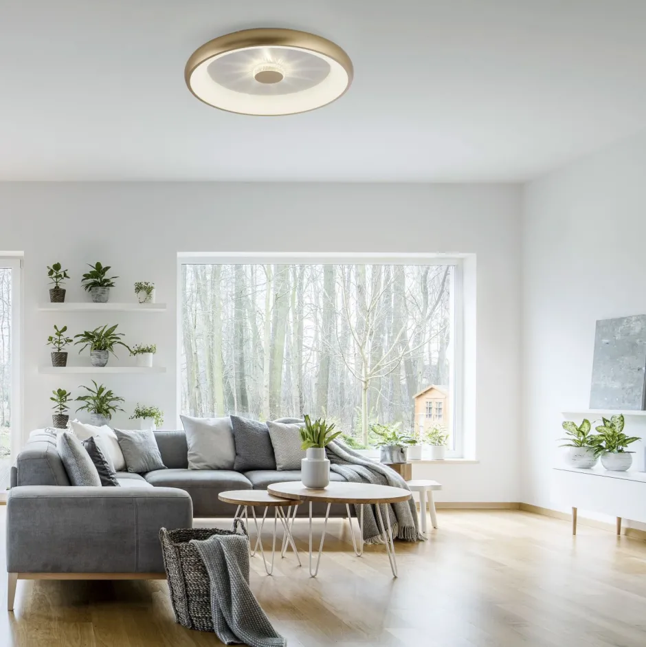 Flurlampen|Bürolampen*Just Light Dimmbare LED Deckenleuchte 2700-5000 K Ø61,5 cm Messing