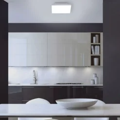 Paul Neuhaus Dimmbare LED Deckenleuchte Fernbedienung Weiß Memory< Deckenleuchten|Flurlampen