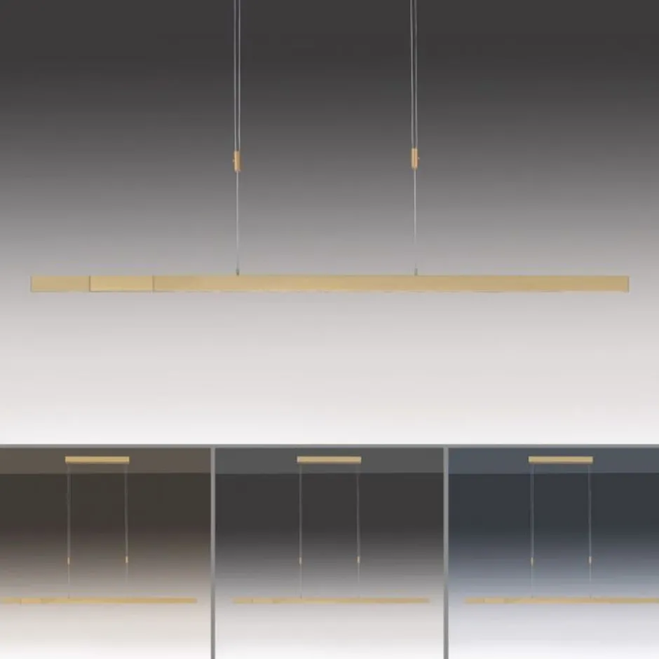 Paul Neuhaus Dimmbare LED Pendelleuchte Touch 4680 lm in Messing< Hängelampen|Bürolampen