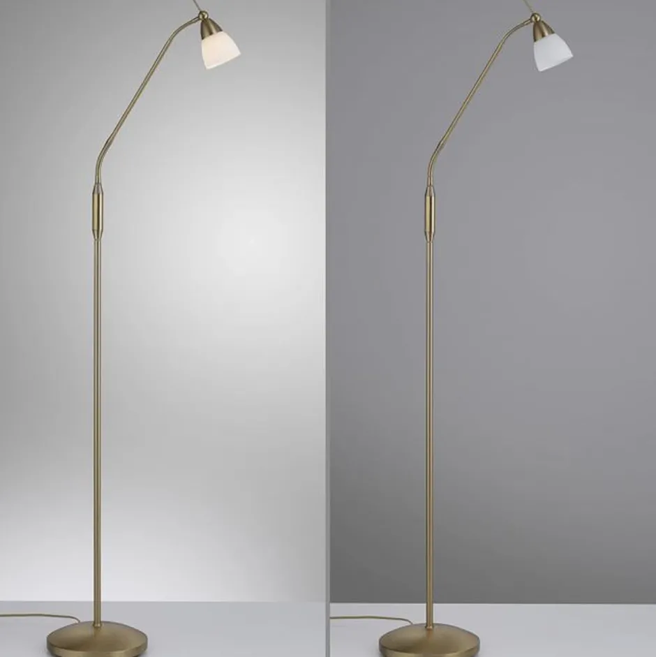 Paul Neuhaus Flexible Stehleuchte in Altmessing Dimmer Glas 163 cm< Metall Lampen|Glaslampen