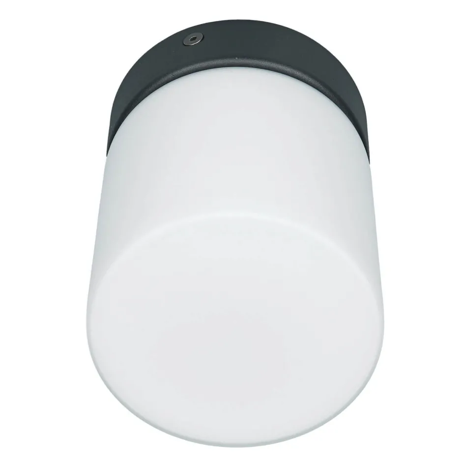 Nowodvorski Kleine Deckenleuchte Weiß Schwarz Glasschirm IP44< Glaslampen|Feuchtraumleuchten