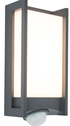 Moderne Lampen|Led Außenleuchten*Eco-Light LED Außenleuchte Bewegungsmelder Farbwechsel Anthrazit