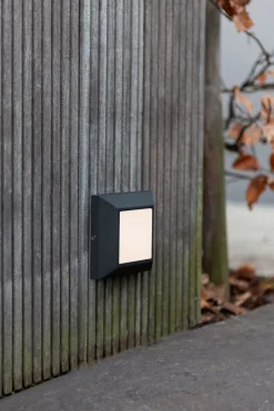 Eco-Light LED Außenwandleuchte Aluminium IP54 4 W 3000 K Schwarz< Metall Lampen|Led Außenleuchten