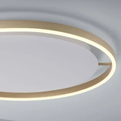 Just Light LED Deckenlampe dimmbar Ø58,5 cm 3650 lm in Messing< Deckenleuchten|Flurlampen