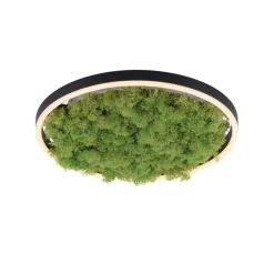 Just Light LED Deckenlampe Moos Schwarz 3000 K 2650 lm dimmbar< Wohnzimmerlampen|Schlafzimmer Lampen