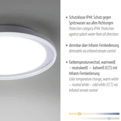 Deckenleuchten|Flurlampen*Paul Neuhaus LED Deckenleuchte blendarm IP44 28 W B:45 cm in Chrom