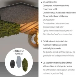 Just Light LED Deckenleuchte Filz Eiche Moos Rauchglas G9 blendarm< Deckenleuchten|Flurlampen