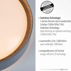 Flurlampen|Bürolampen*Just Light LED Deckenleuchte Grau Natur Ø40 cm 3400 lm dimmbar