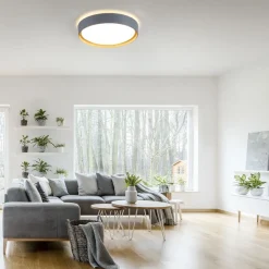 Flurlampen|Bürolampen*Just Light LED Deckenleuchte Grau Natur Ø40 cm 3400 lm dimmbar