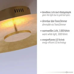 Deckenleuchten|Flurlampen*Paul Neuhaus LED Deckenleuchte Metall dimmbar in Blattgold 3000 K