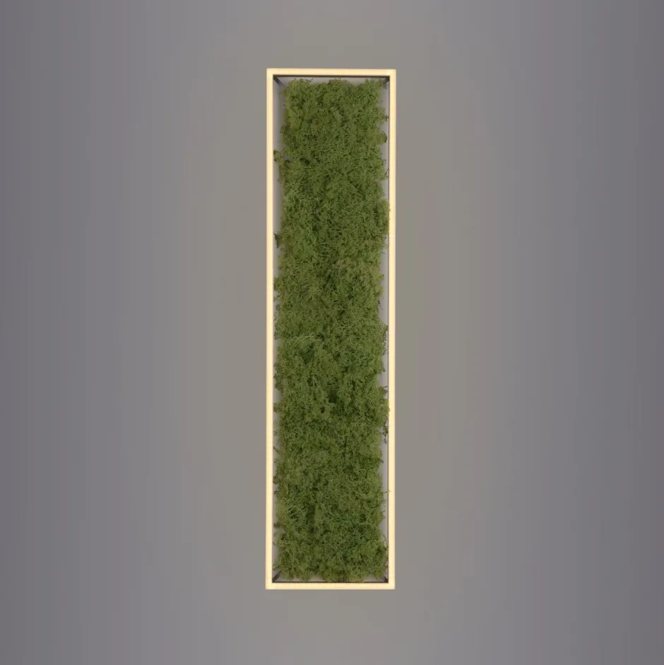 Just Light LED Deckenleuchte Moos L:100 cm 3000 K 3550 lm aus Moos< Deckenleuchten|Flurlampen