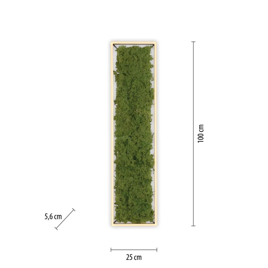 Just Light LED Deckenleuchte Moos L:100 cm 3000 K 3550 lm aus Moos< Deckenleuchten|Flurlampen