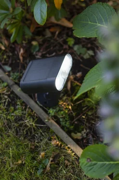 Eco-Light LED Erdspießspot verstellbar IP44 500 lm dimmbar RGB< Led Außenleuchten|Fassadenstrahler