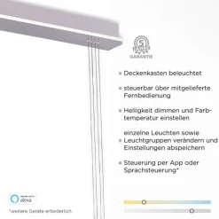 Paul Neuhaus LED Hängelampe Glas in Stahl 2-flammig Fernbedienung< Hängelampen|Bürolampen