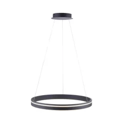 Paul Neuhaus LED Hängelampe Ring Ø59 cm 38 W dimmbar Fernbedienung< Hängelampen|Bürolampen