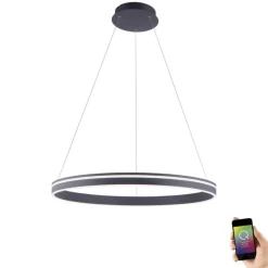 Hängelampen|Bürolampen*Paul Neuhaus LED Hängelampe Ring Anthrazit Ø79 cm 7000 lm dimmbar