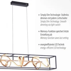 Paul Neuhaus LED Hängelampe Schwarz Gold Metall L:110 cm dimmbar< Hängelampen|Bürolampen