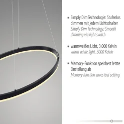 Paul Neuhaus LED Pendelleuchte Anthrazit oval 3000 K L:80 cm dimmbar< Hängelampen|Bürolampen