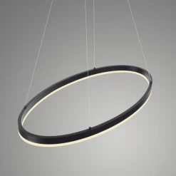 Paul Neuhaus LED Pendelleuchte Anthrazit oval 3000 K L:80 cm dimmbar< Hängelampen|Bürolampen