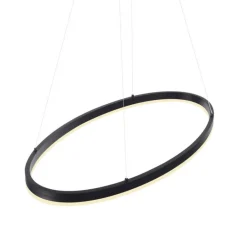Paul Neuhaus LED Pendelleuchte Anthrazit oval 3000 K L:80 cm dimmbar< Hängelampen|Bürolampen