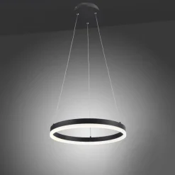 Hängelampen|Bürolampen*Paul Neuhaus LED Pendelleuchte Anthrazit warmweiß 3000 K Ø40 cm Ring
