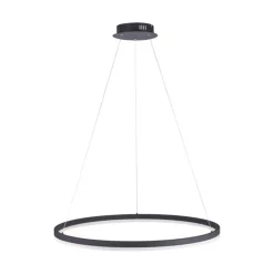 Paul Neuhaus LED Pendelleuchte Anthrazit dimmbar 3000 K Ø80 cm Ring< Hängelampen|Bürolampen
