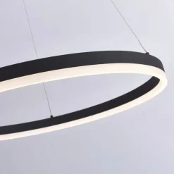 Paul Neuhaus LED Pendelleuchte Anthrazit dimmbar 3000 K Ø80 cm Ring< Hängelampen|Bürolampen