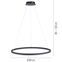 Paul Neuhaus LED Pendelleuchte Anthrazit dimmbar 3000 K Ø80 cm Ring< Hängelampen|Bürolampen