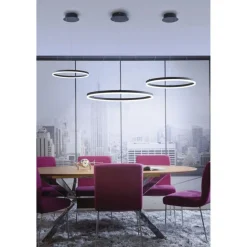 Paul Neuhaus LED Pendelleuchte Anthrazit dimmbar 3000 K Ø60 cm Ring< Hängelampen|Bürolampen