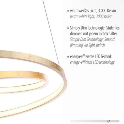 Hängelampen|Wohnzimmerlampen*Paul Neuhaus LED Pendelleuchte in Blattgold B:55 cm 4000 lm dimmbar