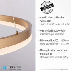 Hängelampen|Bürolampen*Paul Neuhaus LED Pendelleuchte in Messing dimmbar 3000 K Ø60 cm Ring