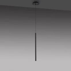 Hängelampen|Bürolampen*Paul Neuhaus LED Pendelleuchte Schwarz Metall Ø2,5 cm rund dimmbar