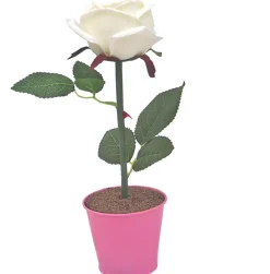 Led Lampen|Moderne Lampen*Easylight LED Rose weiß/pink