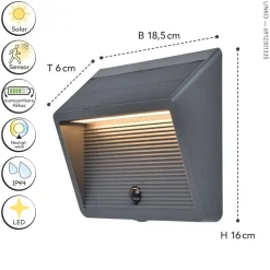 Solarleuchten|Led Außenleuchten*Eco-Light LED Solar Außenwandlampe Bewegungsmelder IP44 900 lm