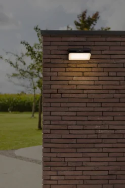 Solarleuchten|Led Außenleuchten*Eco-Light LED Solar Außenwandlampe mit Bewegungsmelder IP54 9 W