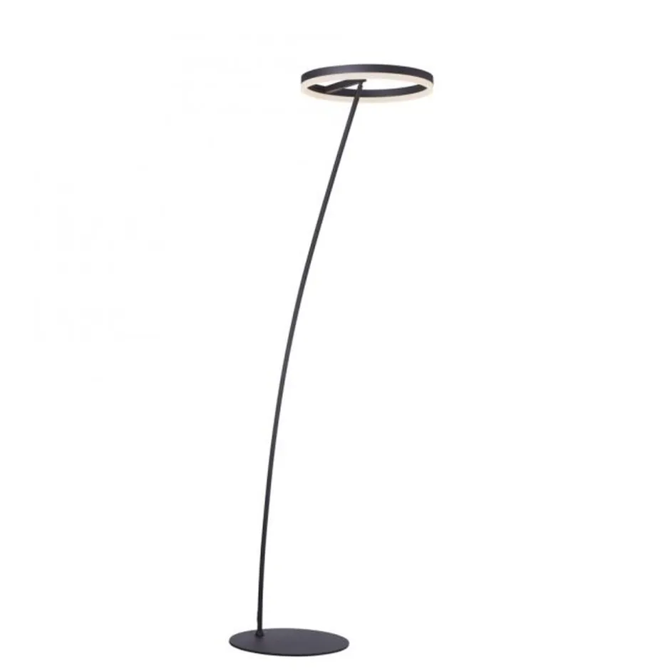 Paul Neuhaus LED Stehlampe Anthrazit dimmbar warmweiß 20 W 215 cm< Wohnzimmerlampen|Metall Lampen