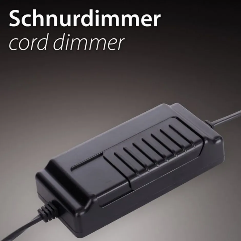 Paul Neuhaus LED Stehlampe Anthrazit dimmbar warmweiß 20 W 215 cm< Wohnzimmerlampen|Metall Lampen