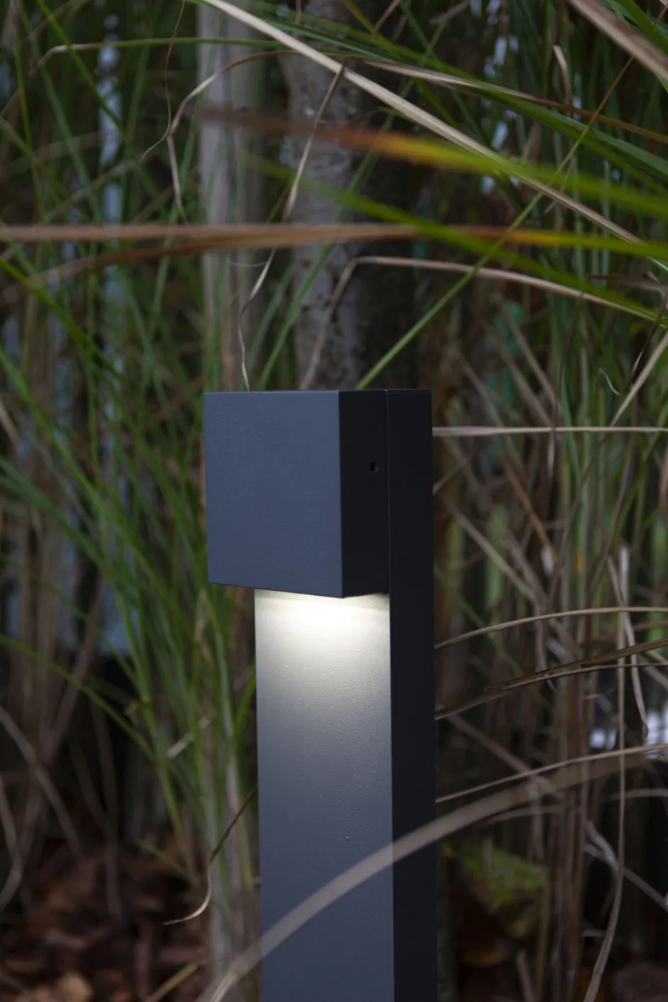 Eco-Light LED Stehlampe außen Aluminium IP54 10 W 65 cm Anthrazit< Metall Lampen|Wegeleuchten