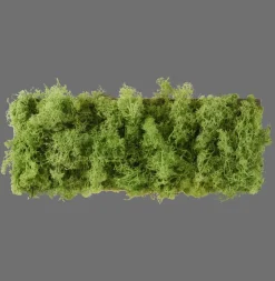 Flurlampen|Schlafzimmer Lampen*Just Light LED Wandlampe Up Down B:32 cm 3000 K 130 lm aus Moos