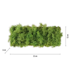 Flurlampen|Schlafzimmer Lampen*Just Light LED Wandlampe Up Down B:32 cm 3000 K 130 lm aus Moos