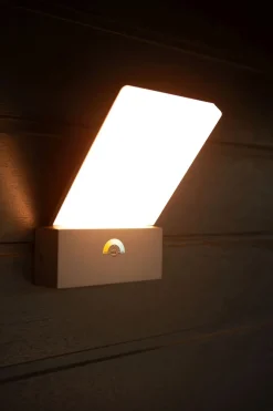 Metall Lampen|Led Außenleuchten*Eco-Light LED Wandleuchte Bewegungssensor IP54 T:14 cm Anthrazit