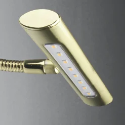 Trio Reality LED Wandleuchte CURTIS in Messing matt< Led Lampen|Wandleuchten