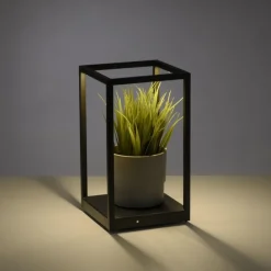 Wohnzimmerlampen|Schlafzimmer Lampen*Paul Neuhaus Schwarze LED Tischlampe dimmbar Touch 26 cm 4 W Memory