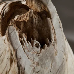 Invicta Interior Stehlampe 175cm Modern individuell Treibholz< Moderne Lampen|Designerlampen