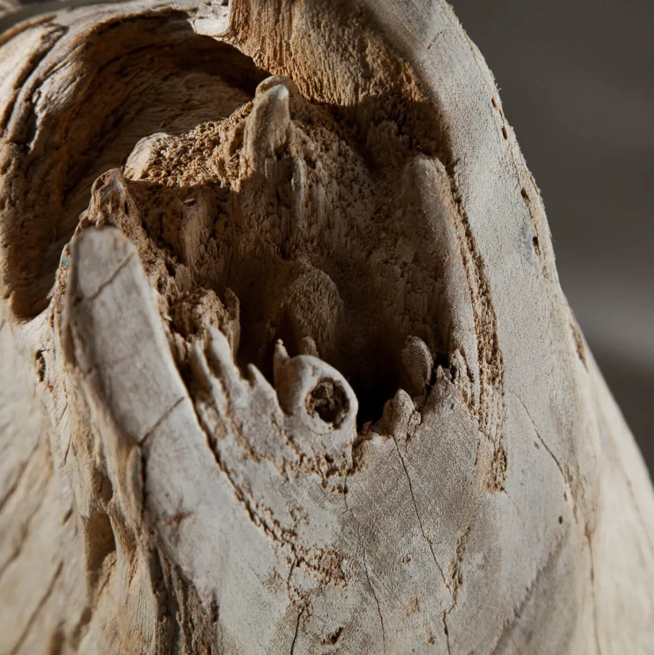 Invicta Interior Stehlampe 175cm Modern individuell Treibholz< Moderne Lampen|Designerlampen