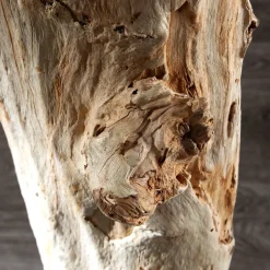 Invicta Interior Stehlampe 175cm Modern individuell Treibholz< Moderne Lampen|Designerlampen